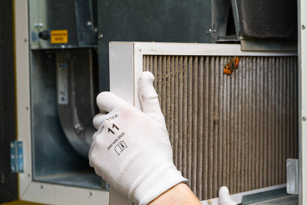 Best Air Duct Cleaning Near Me  in Quartz Hill, CA