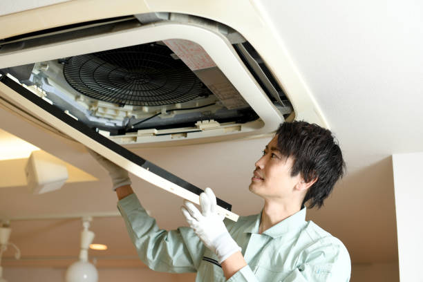 Best Ductwork Cleaning Services  in Quartz Hill, CA